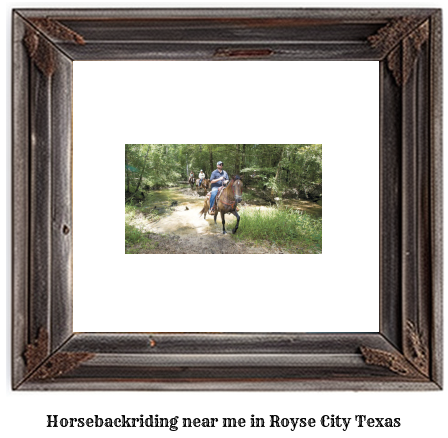 horseback riding near me in Royse City, Texas